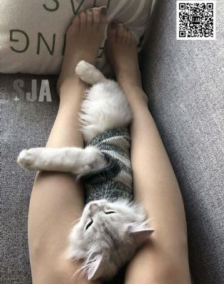 葡萄熟了3
